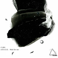 A.N.I.C.E. - Wait for Me