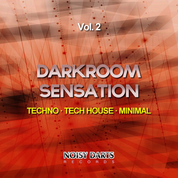 Various Artists - Darkroom Sensation, Vol. 2 (Techno - Tech House - Minimal)