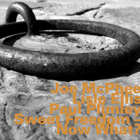Joe McPhee - Sweet Freedom - Now What?