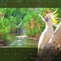 Relaxing Nature Sounds - Birds of the Tjuwaliyn Douglas Hot Springs Tropical Rainforest