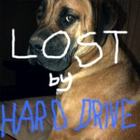 Hard Drive - Lost