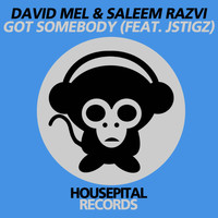David Mel & Saleem Razvi - Got Somebody