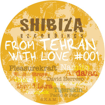 Various Artists - From Tehran With Love 01