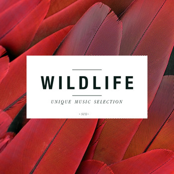 Various Artists - Wildlife - Unique Music Selection, Vol. 6