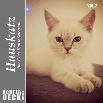 Various Artists - Hauskatz, Vol. 2