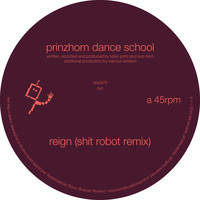 prinzhorn dance school - Reign (Shit Robot Remix)