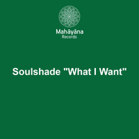 Soulshade - What I Want