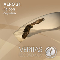 Aero 21 - Falcon