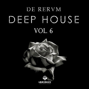 Various Artists - De Rerum Deep House, Vol. 6