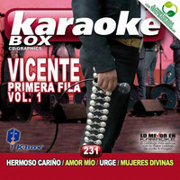Karaoke Box - Vicente Primera Fila Vol. 1 (Karaoke Version) (Karaoke Version)