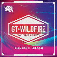 GT & Wildfire feat. Freaks In Love - Feels Like It Should