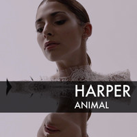 Harper - Animal