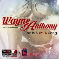 Wayne Anthony - This Is a Fu*k Song - Single