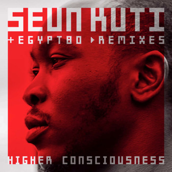 Seun Kuti & Egypt 80 / - Higher Consciouness (remixes)