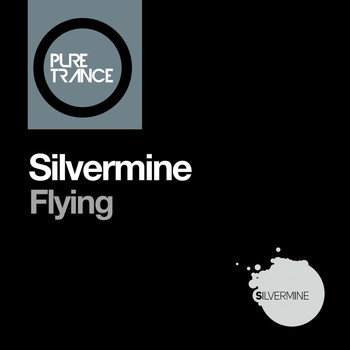 Silvermine - Flying