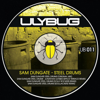 Sam Dungate - Steel Drums