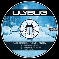 Dale Hooks - Driven Snow