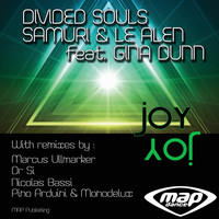 Divided Souls - Joy