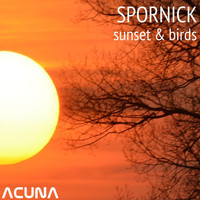Spornick - Sunset / Birds