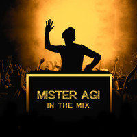 Mister Agi - In the Mix