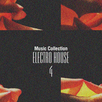 Various Artists - Music Collection. Electro House, Vol. 4