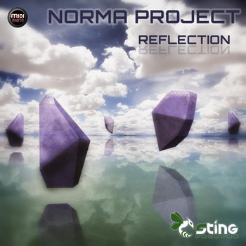 Norma Project - Reflection