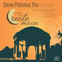 Steve Pistorius - Under the Creole Moon