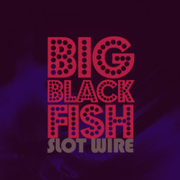 Slot Wire - Big Black Fish