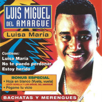 Luis Miguel Del Amargue - Bachatas y Merengues