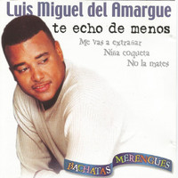 Luis Miguel Del Amargue - Te Echo de Menos