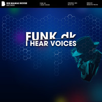 Funk dk - I Hear Voices