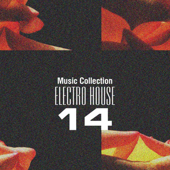 Various Artists - Music Collection. Electro House 14