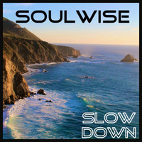Soulwise - Slow Down - Single
