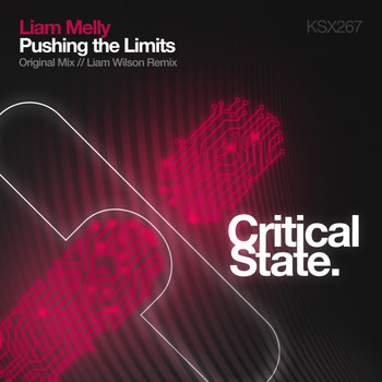 Liam Melly - Pushing The Limits