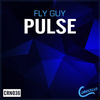 Fly Guy - Pulse