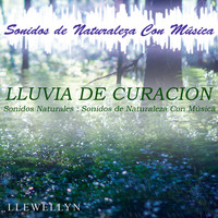Llewellyn - Lluvia de Curación: Sonidos de Naturaleza Con Música