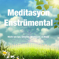 Meditasyon Enstrümental - Meditasyon Enstrümental: Müzik için Spa, Gevşeme, Meditasyon ve Masaj