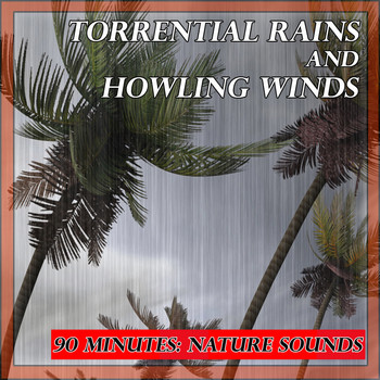 Nature Sounds - Sounds of Nature: Torrential Rains and Howling Winds