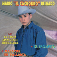 Mario El Cachorro Delgado - Masacre en Vallarta