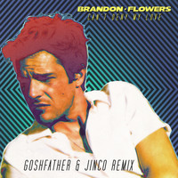 Brandon Flowers - Can't Deny My Love (Goshfather & Jinco Remix)