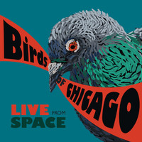 Birds of Chicago - Live from Space