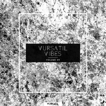 Various Artists - Vursatil Vibes 09