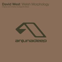 David West - Welsh Morphology