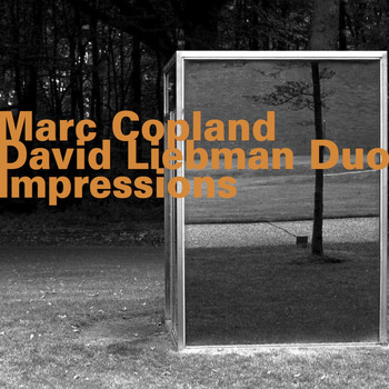 Marc Copland - David Liebman Duo - Marc Copland - David Liebman Duo: Impressions