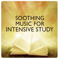 Study Music Orchestra|Studying Music and Study Music - Soothing Music for Intensive Study