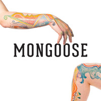 Mongoose - Mongoose