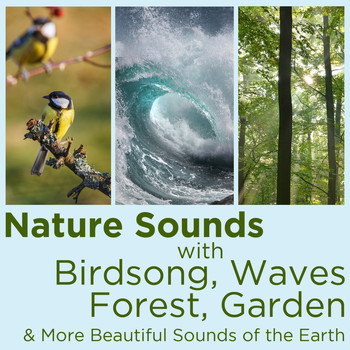 Nature Sounds - Nature Sounds with Birdsong, Waves, Forest, Garden, And More Beautiful Sounds of the Earth!