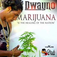 Dwayno - Marijuana - Single