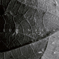 Luminaria - Los Síntomas