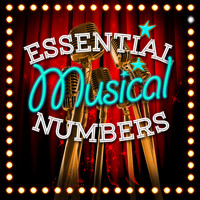 Musical Cast Recording|Original Cast|Original Cast Recording - Essential Musical Numbers